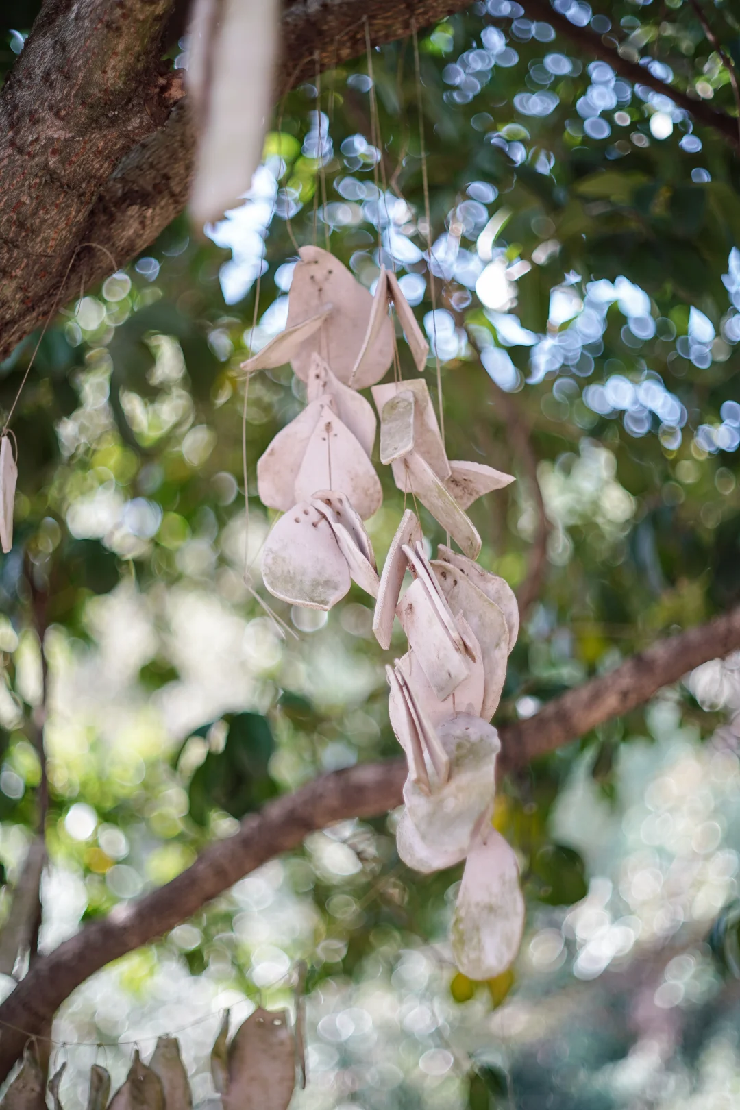 常德｜周末逃离计划｜躲进美术馆里森呼吸🎐
