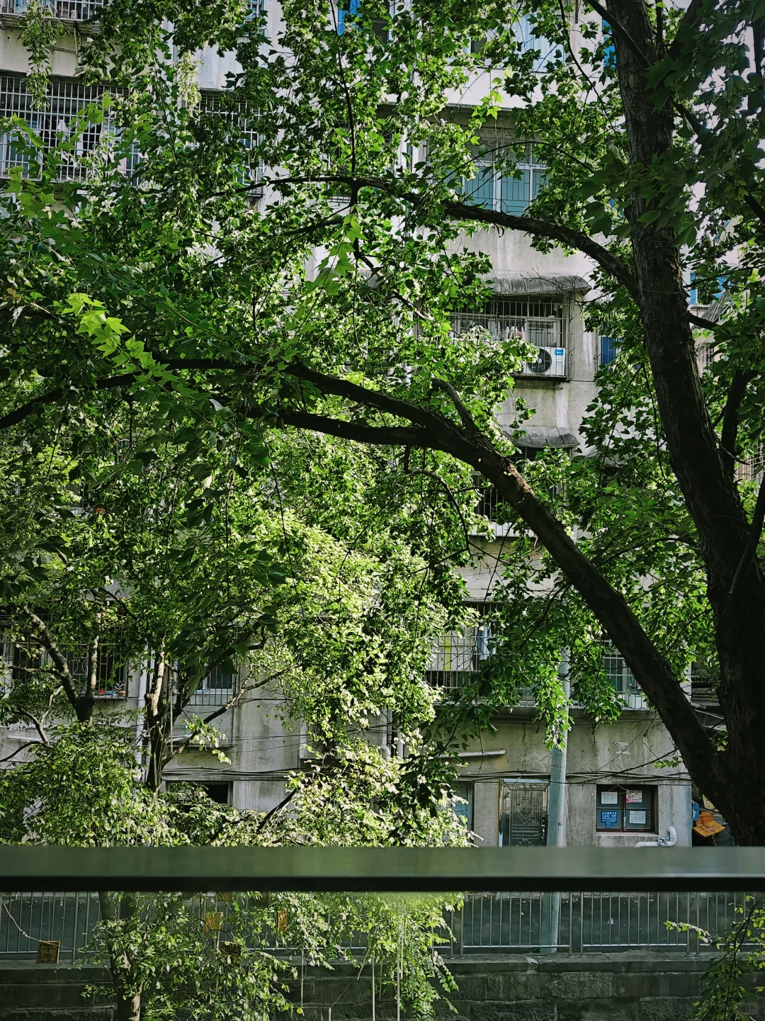 在常德｜别去这家独立书店了！