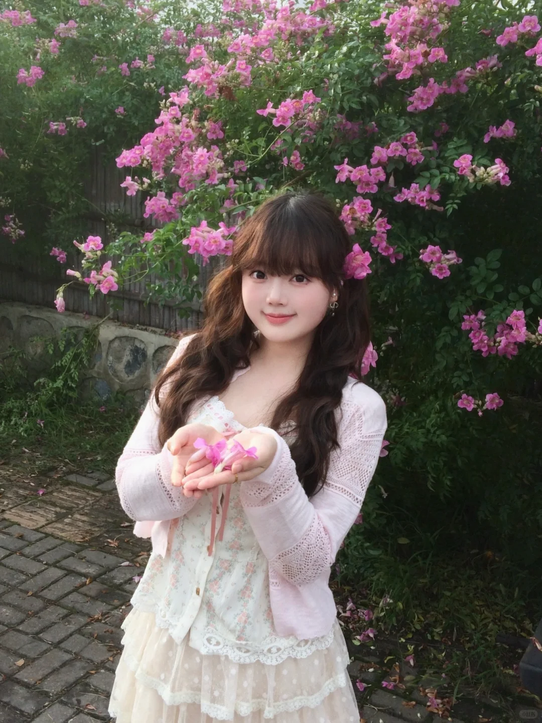 在常德 秋天也拍到粉粉的花墙啦 🌸