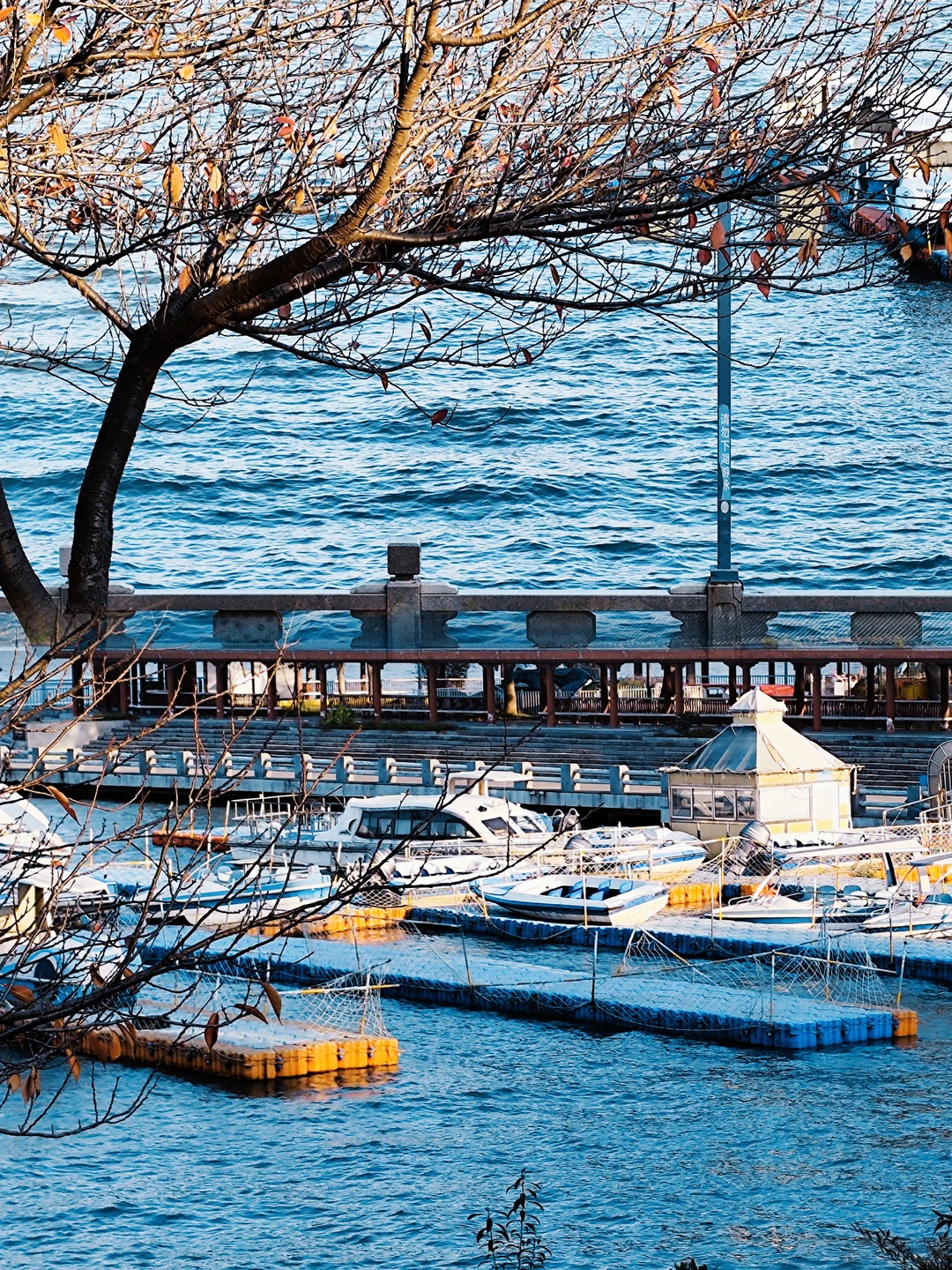 常德｜独自旅行第133站