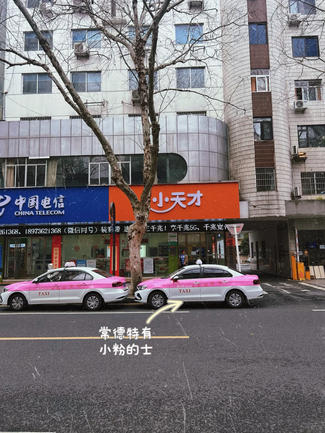 长沙出发常德｜在湖南我最喜欢的城市♥️