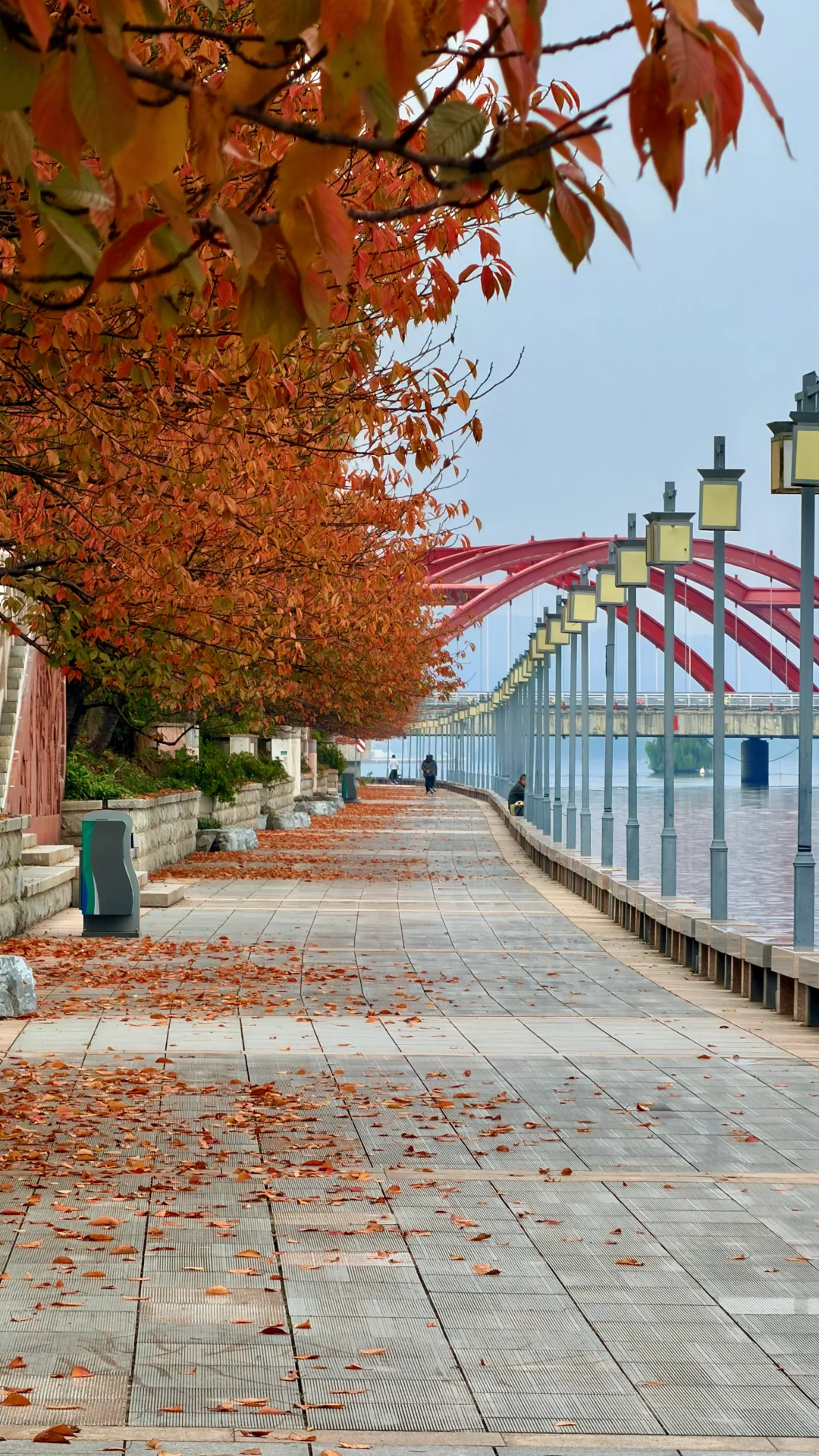 这就是常德的秋天吗？！也太好看了！！