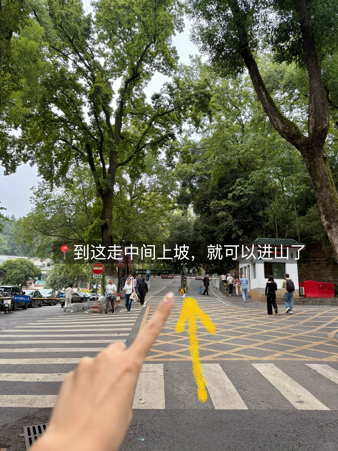 📍岳麓山免爬山攻略！附详细打卡路线（懒人版