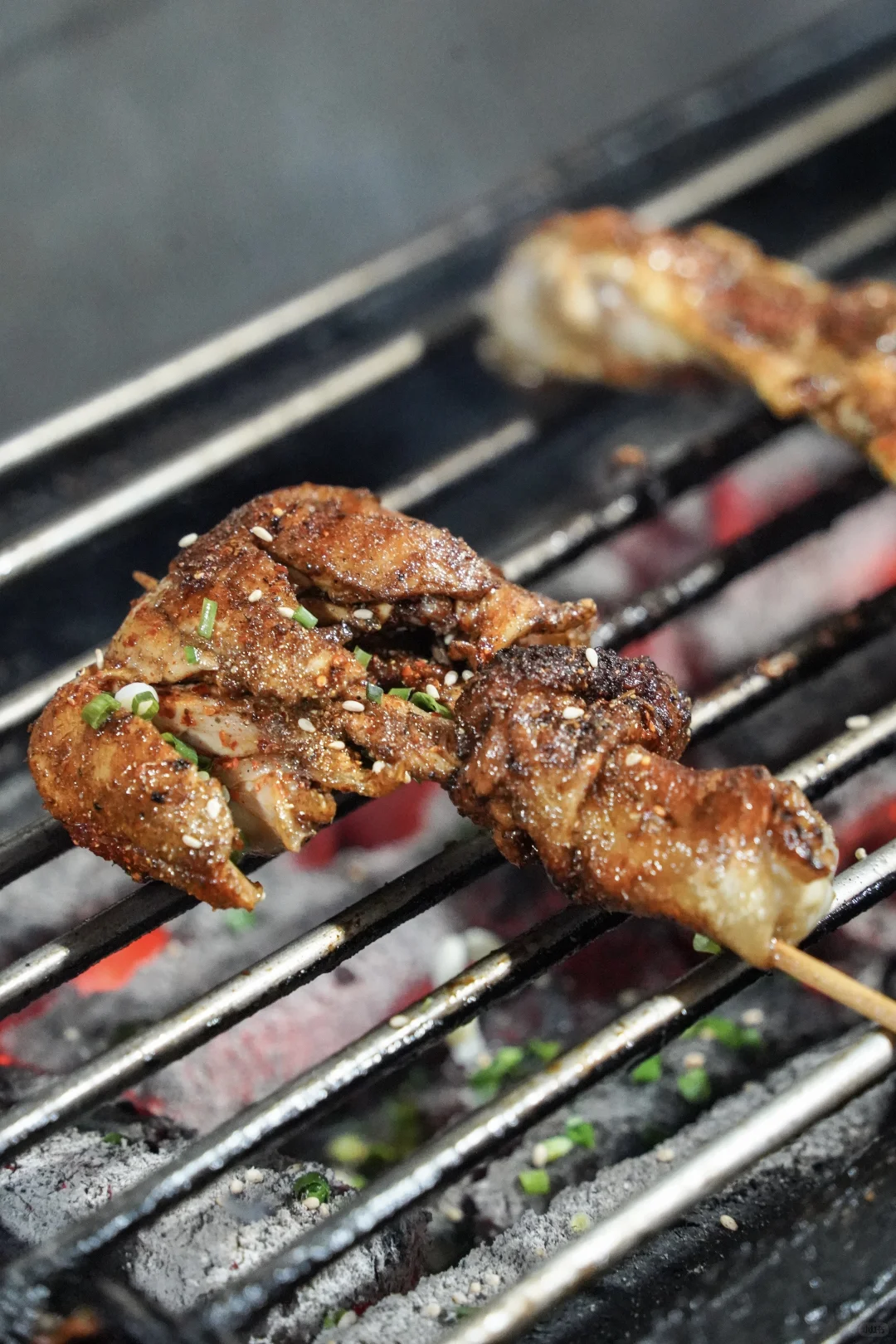 常德｜老向原味烧烤｜咔呲脆的烤鸡腿香晕我