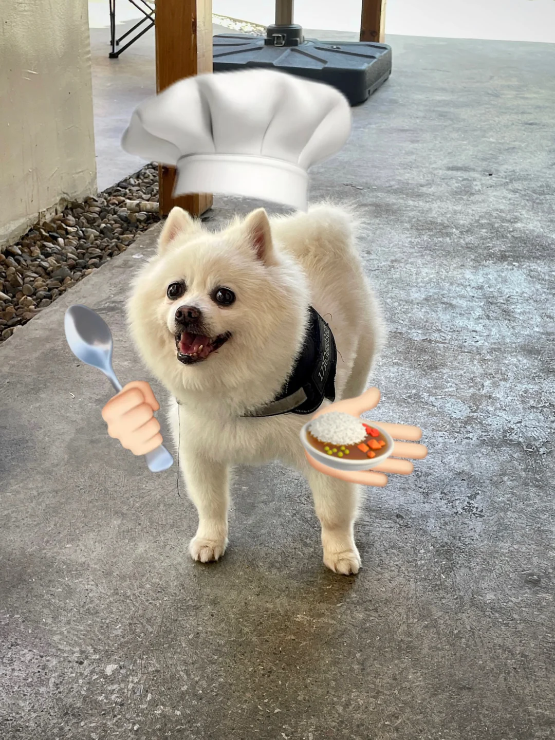 常德！！藏有如此神仙花园餐厅🍴好惬意