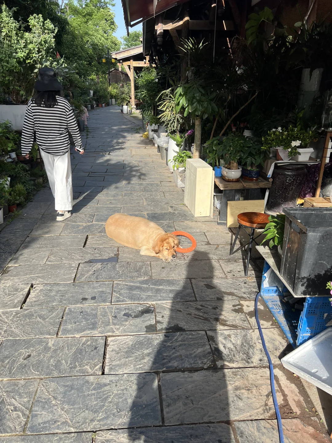 常德 一座让人幸福的城市