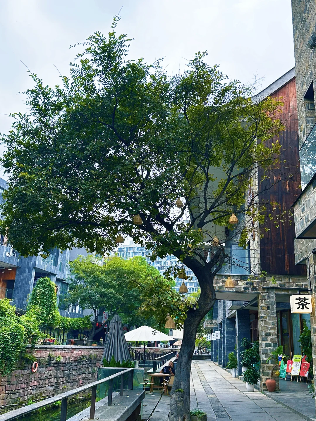 常德｜老西门也太出片了📷