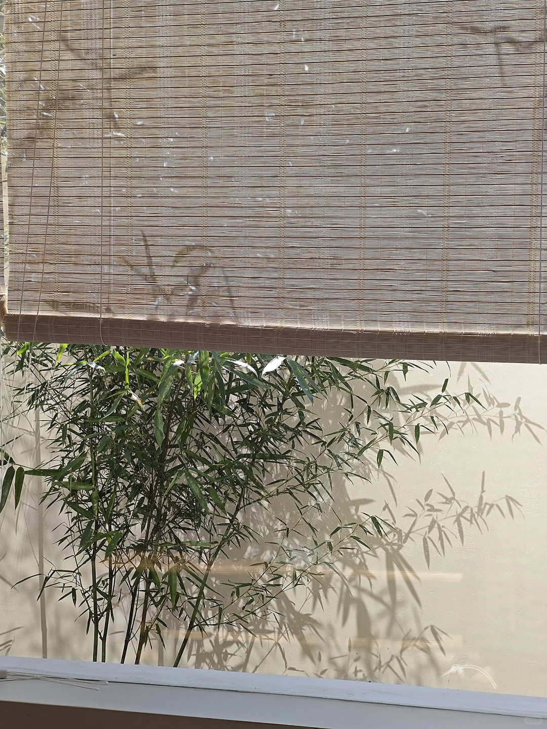 常德 远近咖啡营业🈺啦