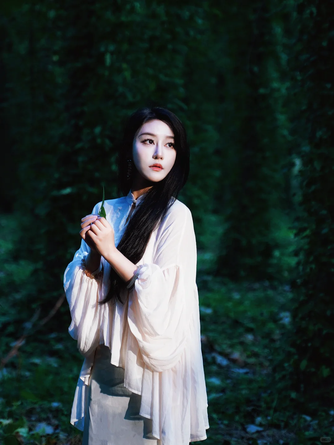 🌲这里不是川西，这里是常德🌲