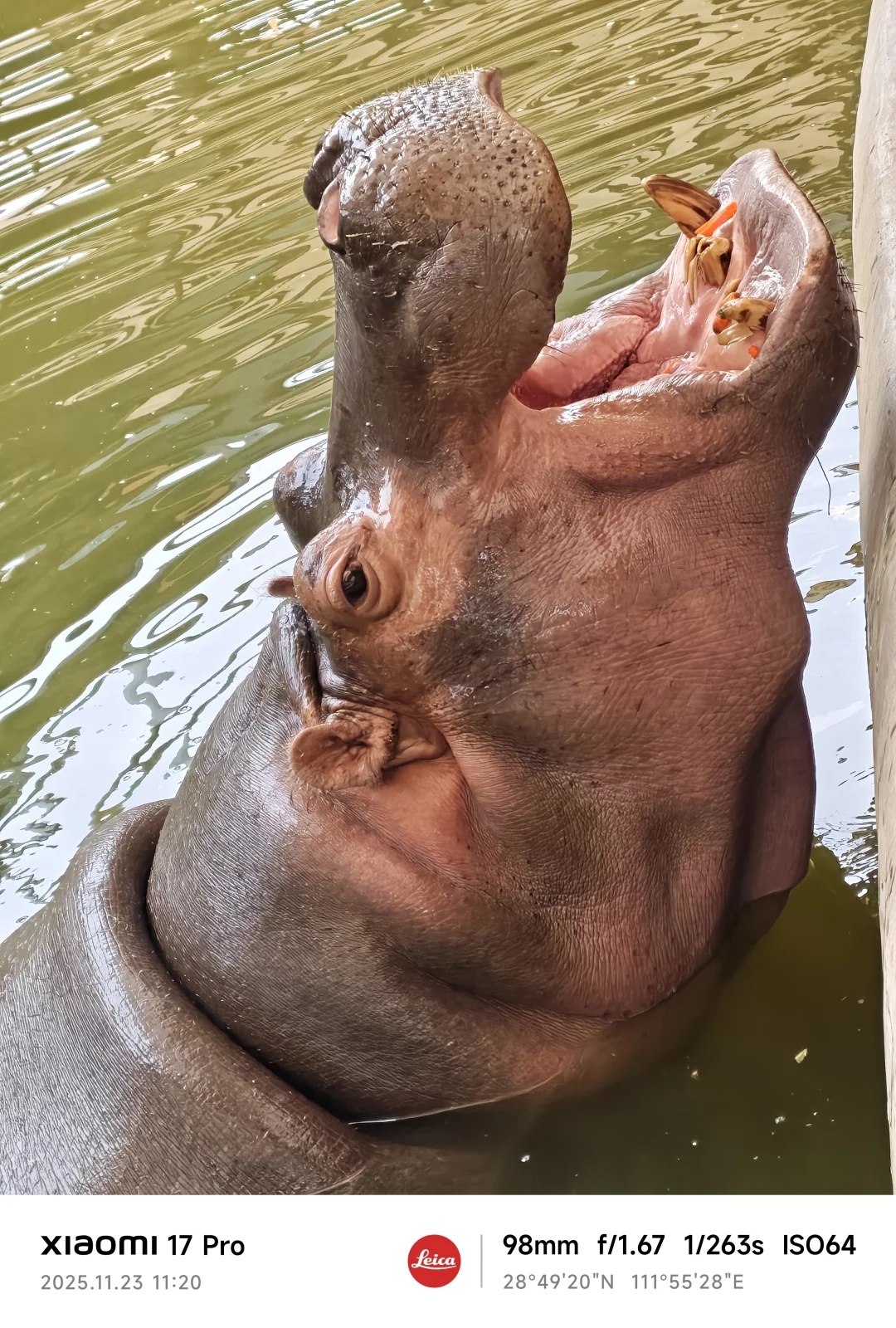 常德野生动物园略显小气了