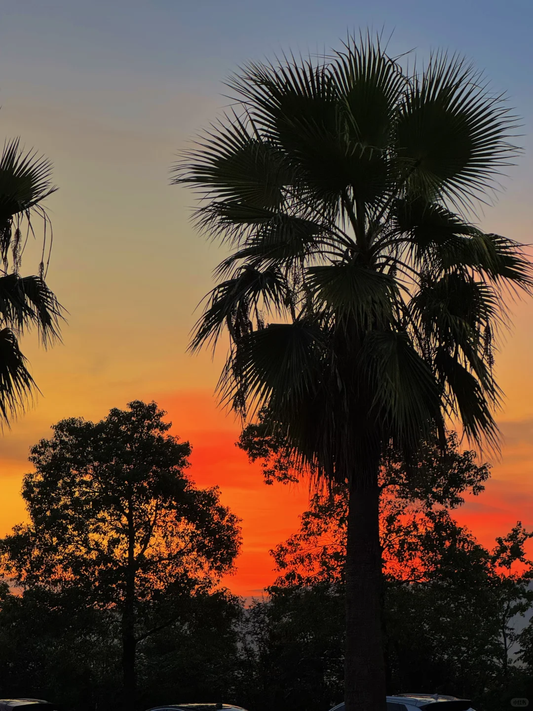 属于常德人的“小三亚”