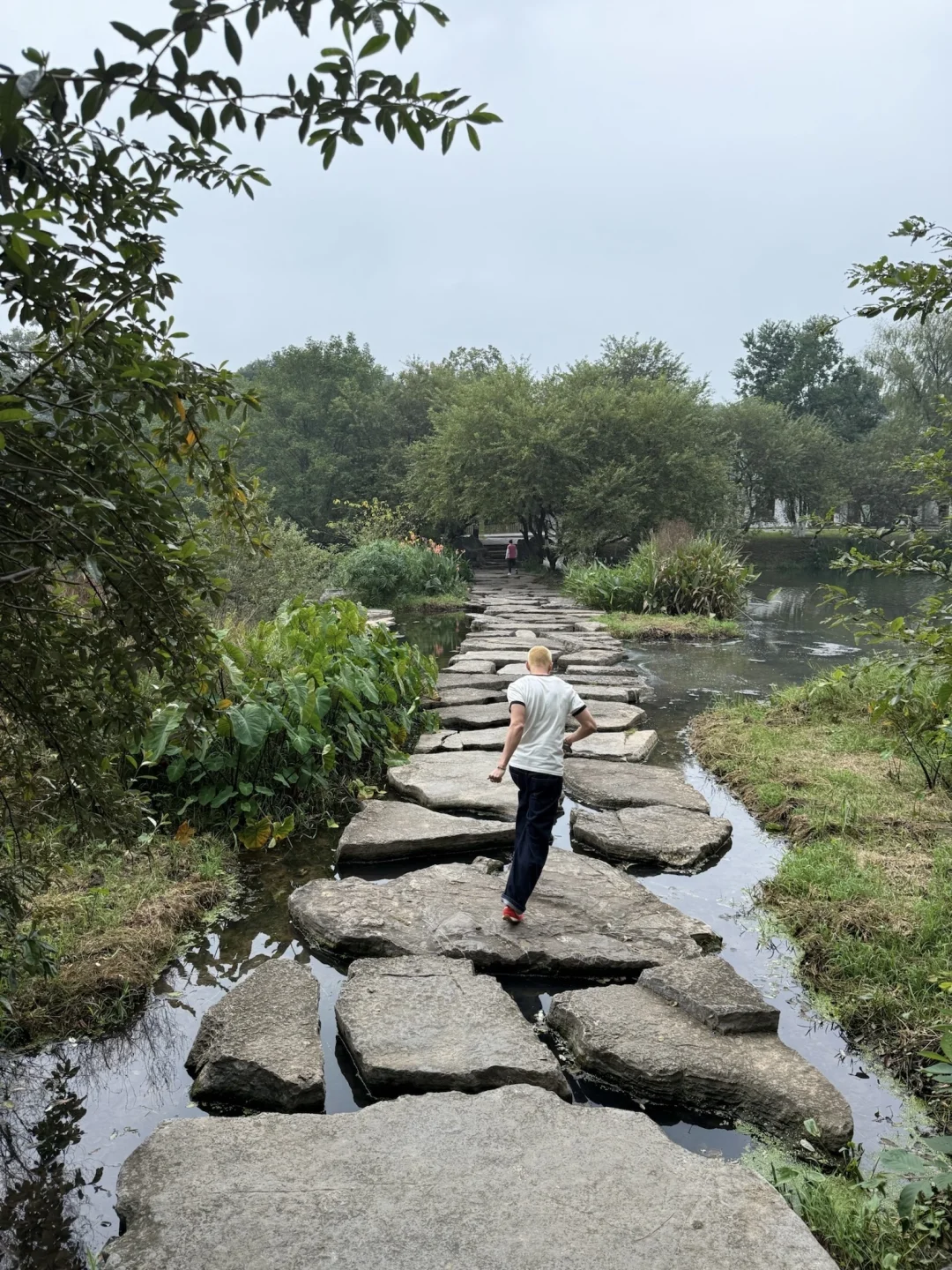 中国人真的都会背《桃花源记》吗？