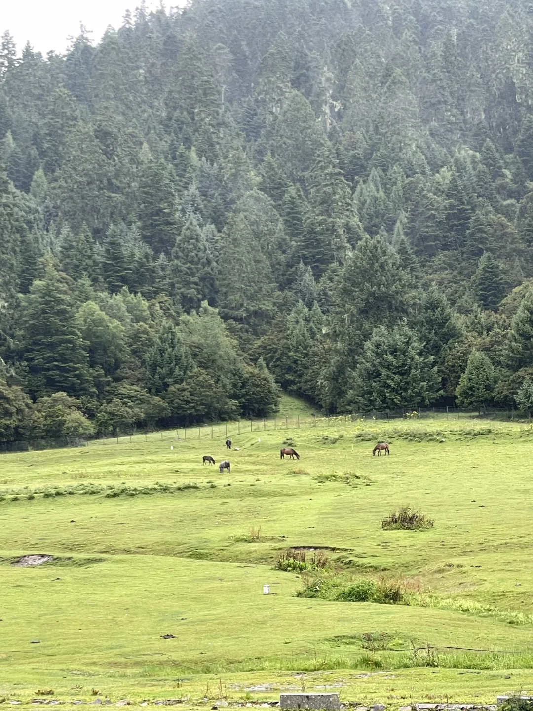 请推给101位常德人