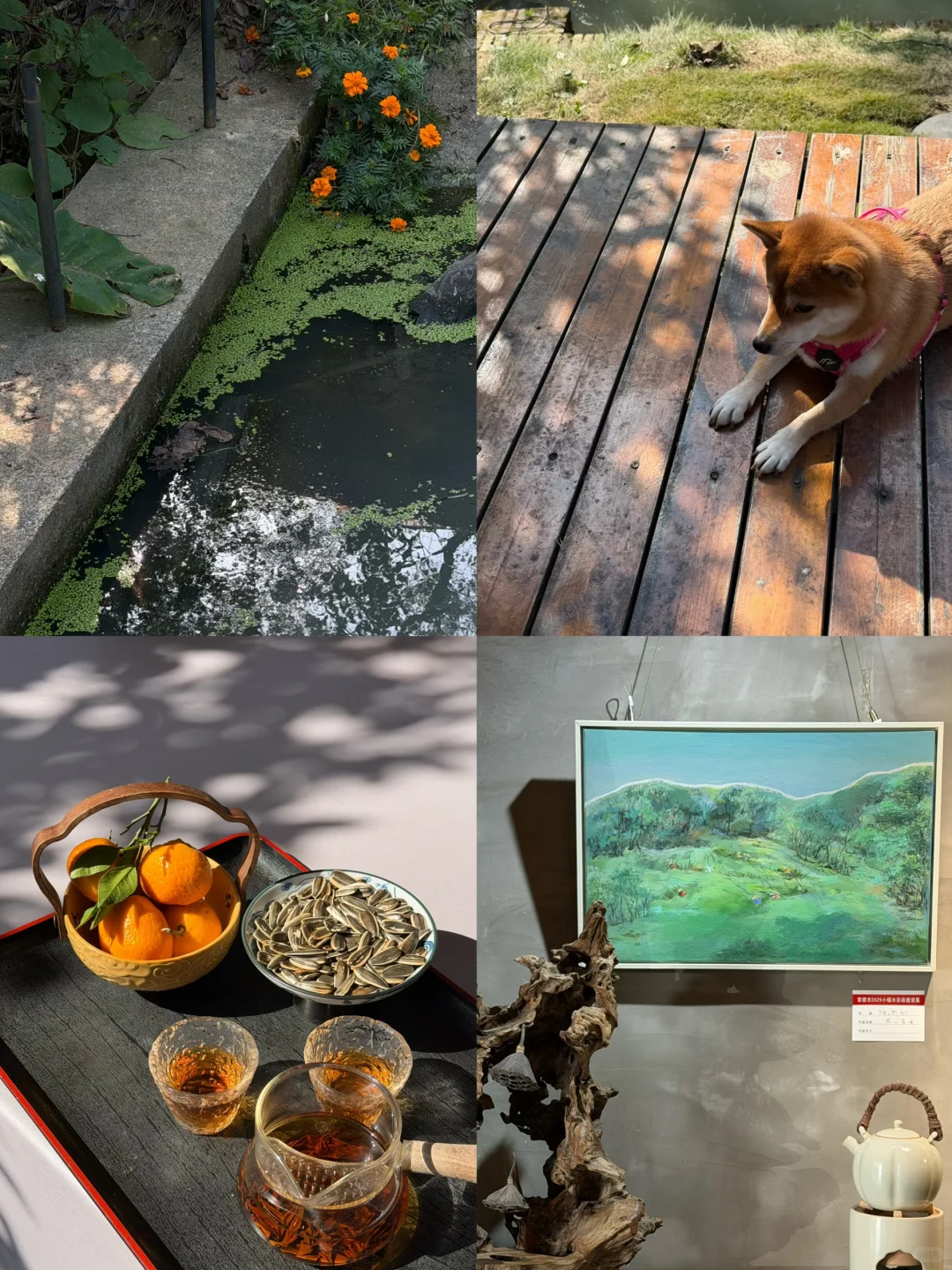 来森林里吸氧🫧藏在常德河洑山的宝藏美术馆