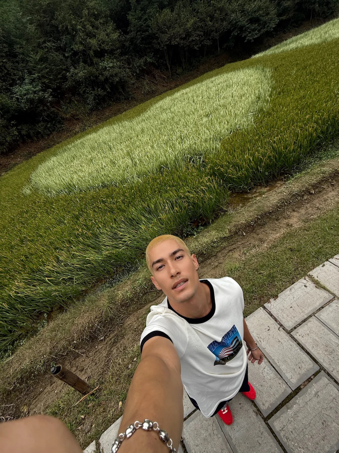 中国人真的都会背《桃花源记》吗？