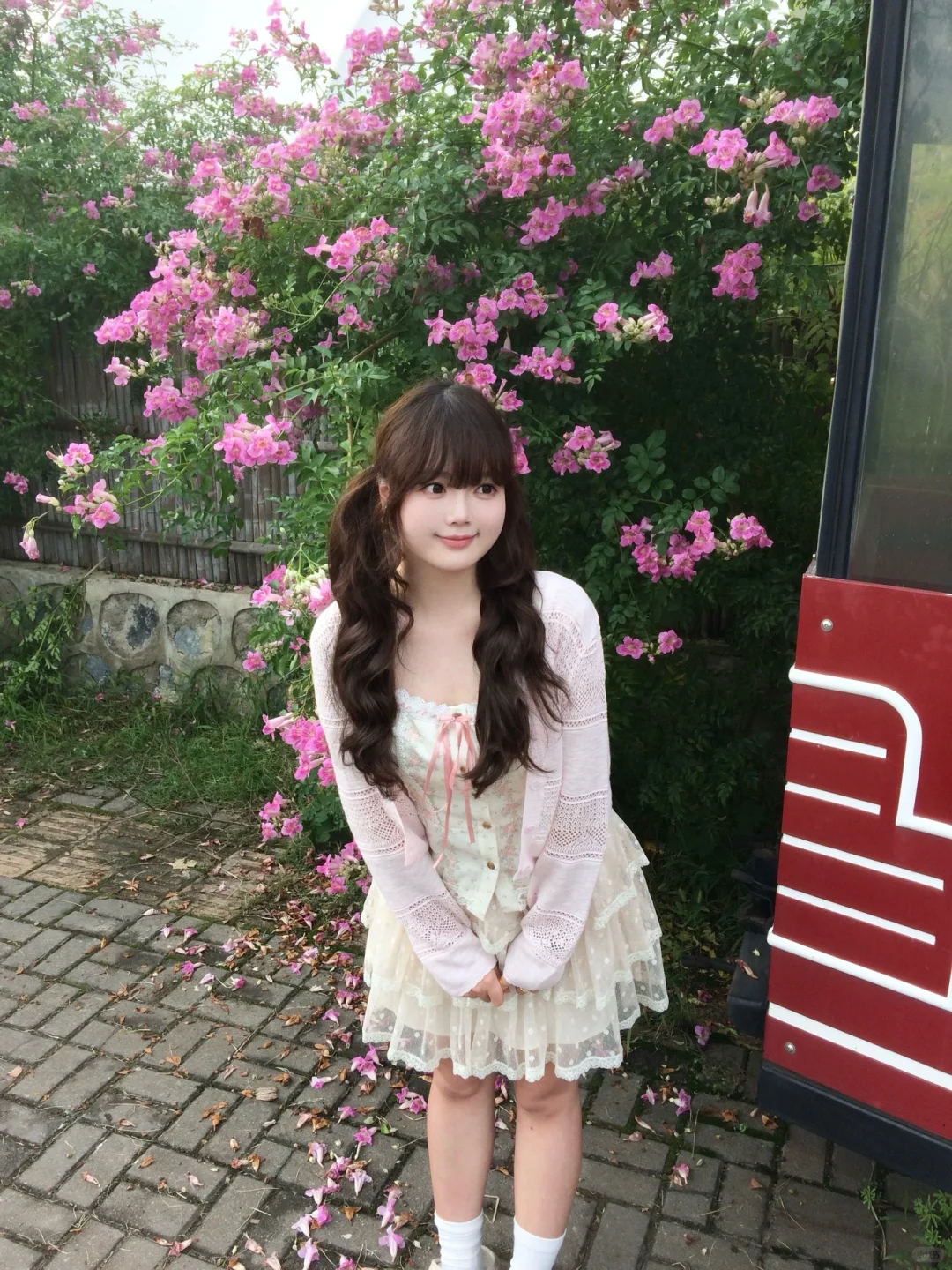 在常德 秋天也拍到粉粉的花墙啦 🌸