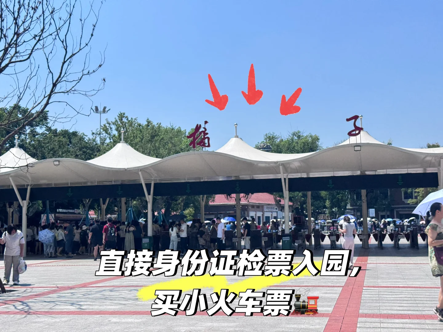 湖南长沙橘子洲必看🙈