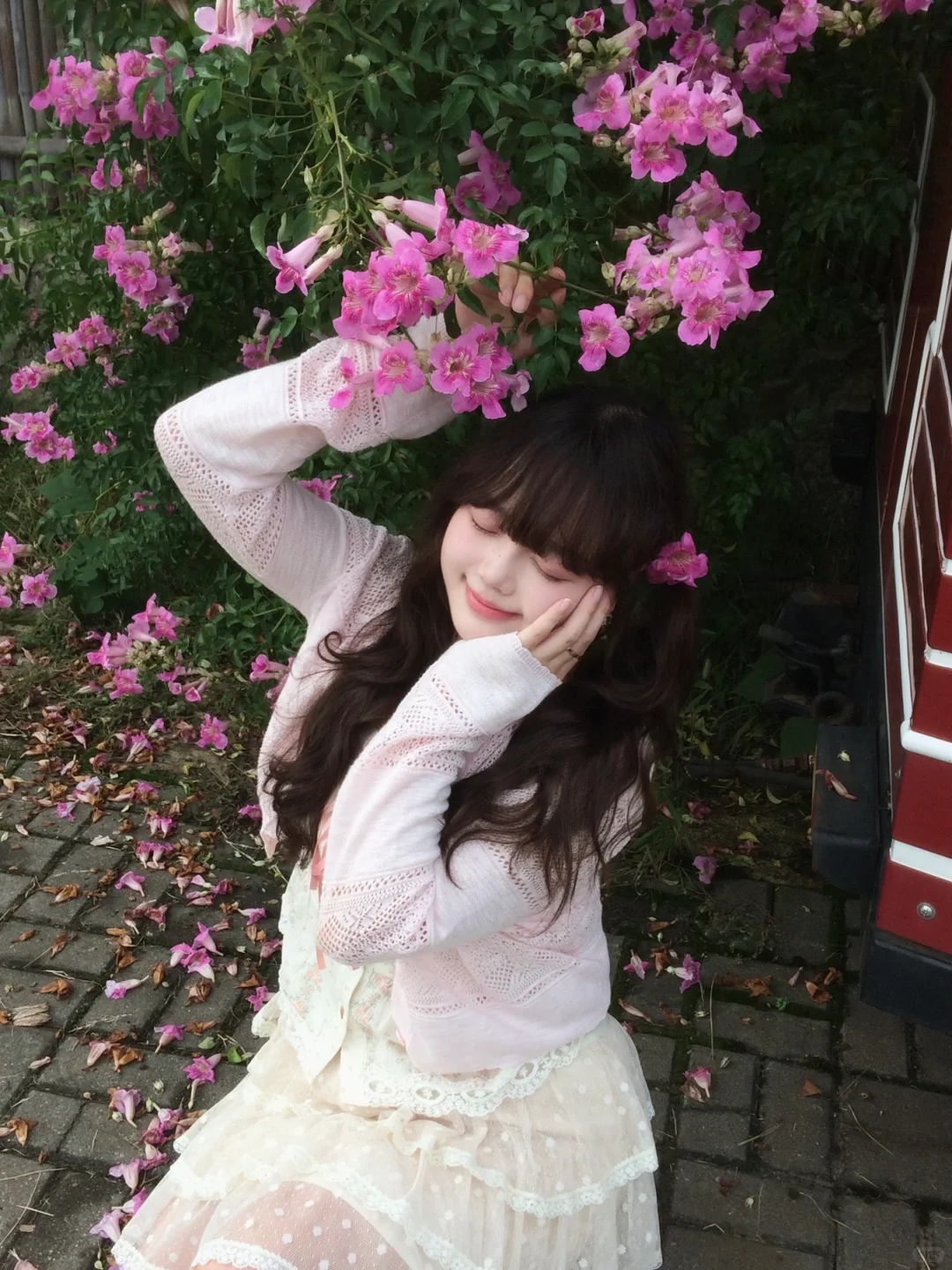 在常德 秋天也拍到粉粉的花墙啦 🌸