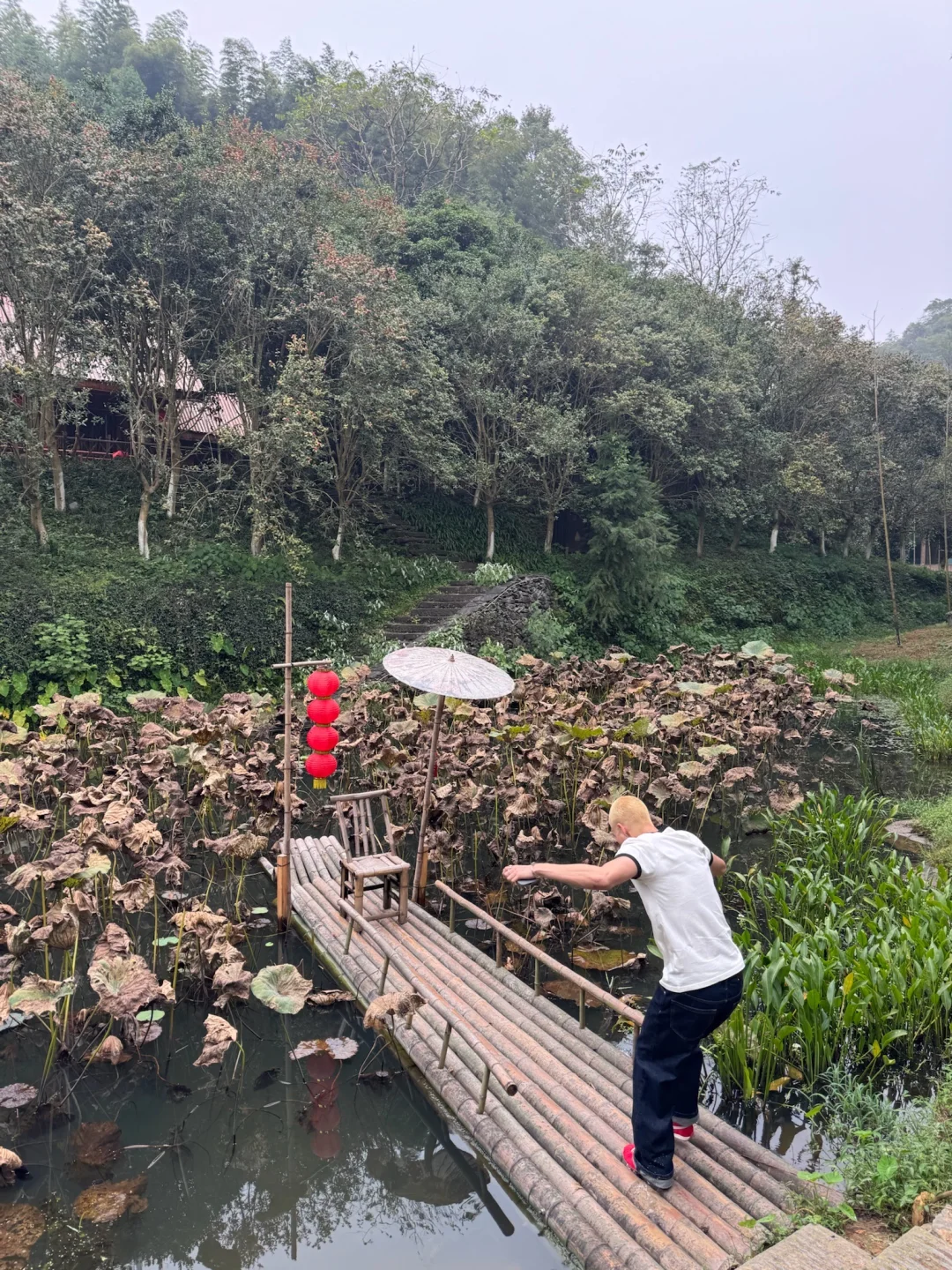 中国人真的都会背《桃花源记》吗？