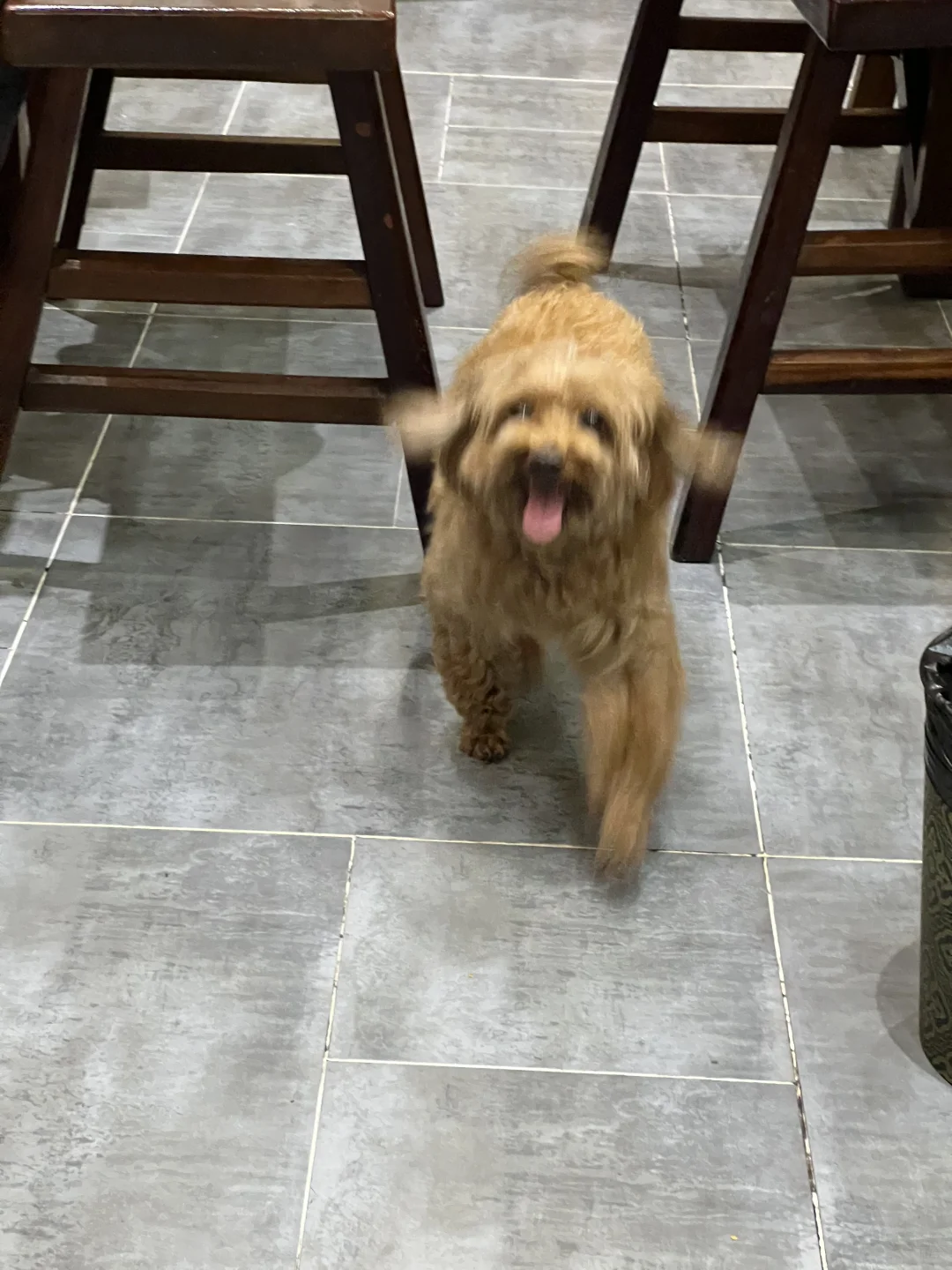 常德 一座让人幸福的城市