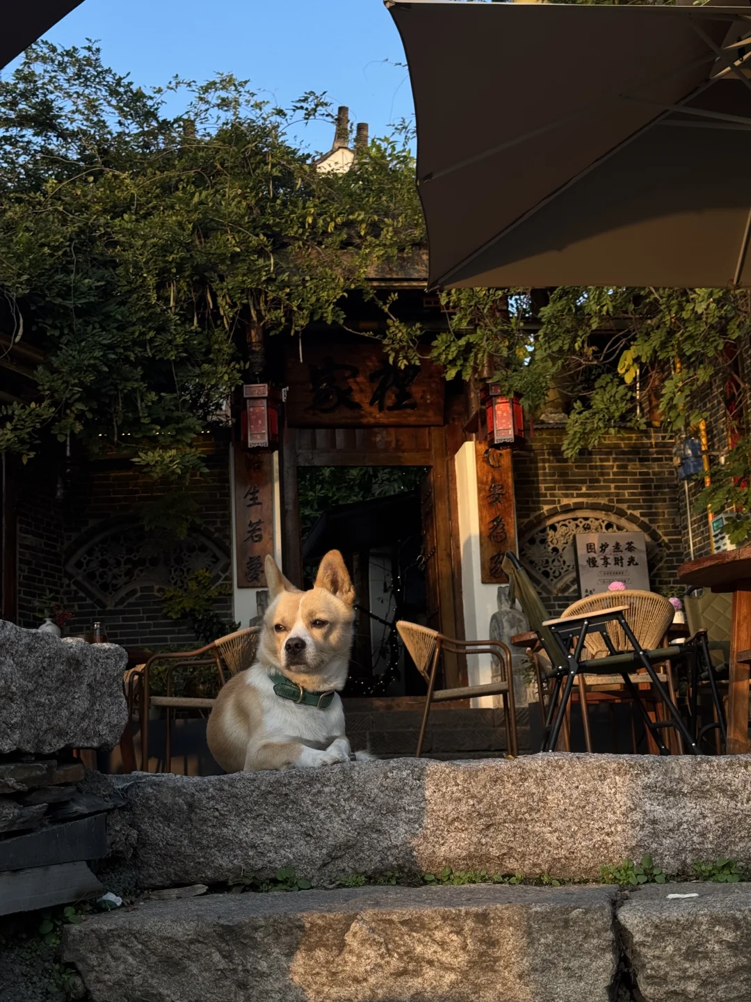 你好，这里是常德