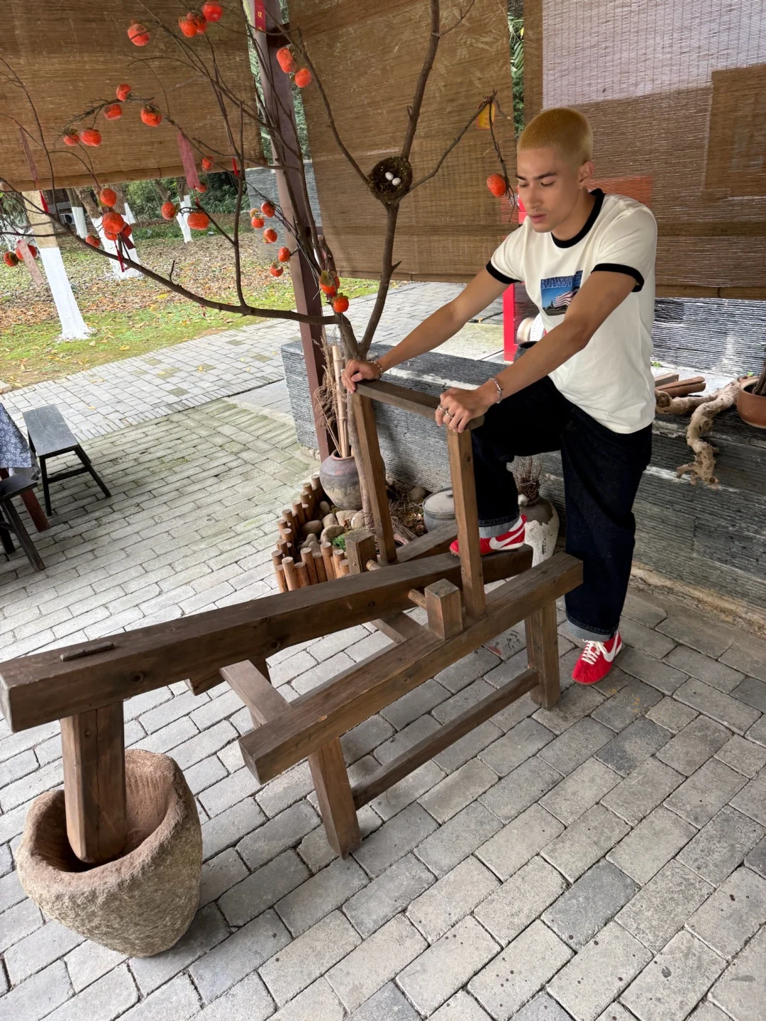 中国人真的都会背《桃花源记》吗？