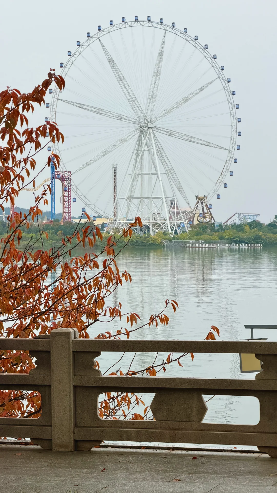 这就是常德的秋天吗？！也太好看了！！