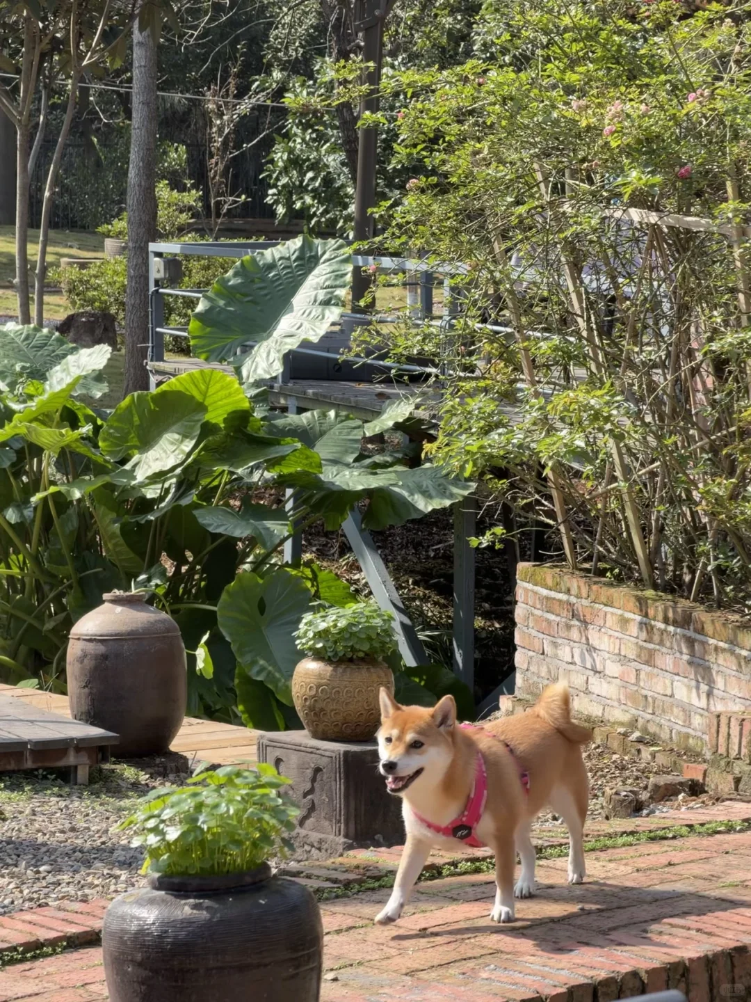 来森林里吸氧🫧藏在常德河洑山的宝藏美术馆