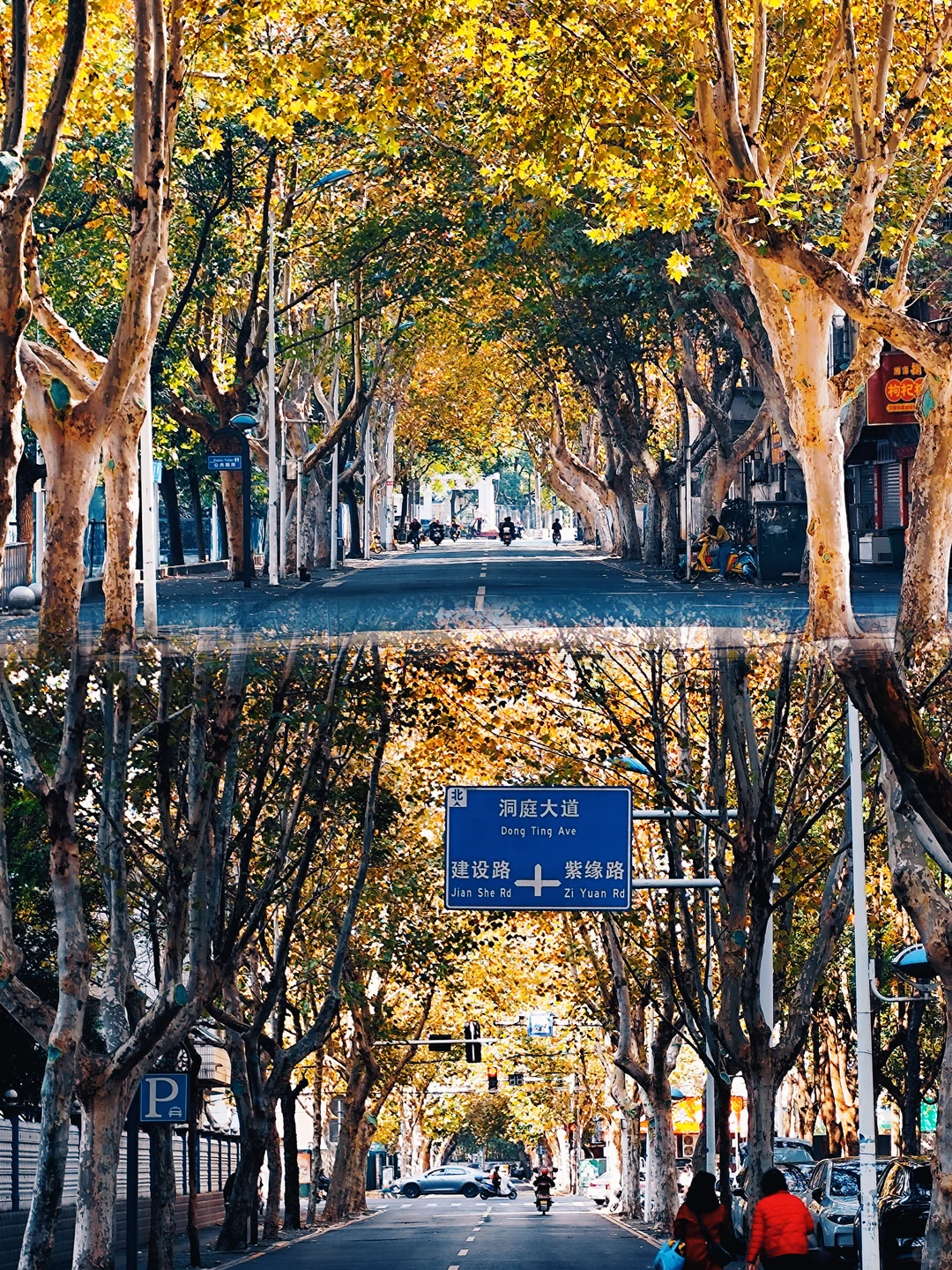 常德｜独自旅行第133站