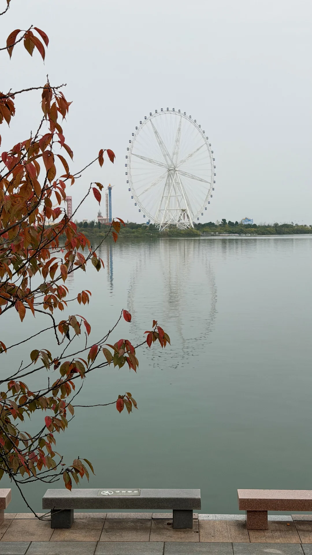 这就是常德的秋天吗？！也太好看了！！