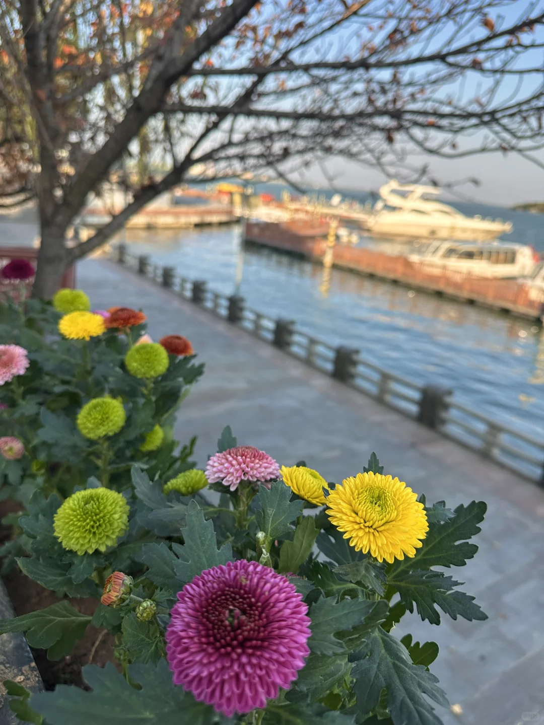 咖啡搭子速来！在常德柳叶湖浪漫系咖啡厅