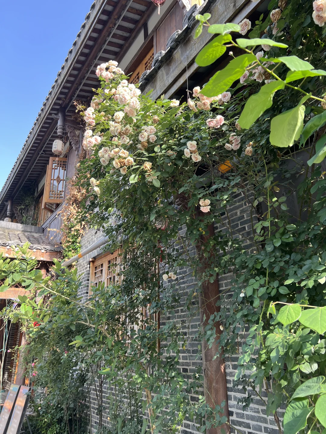 常德 一座让人幸福的城市