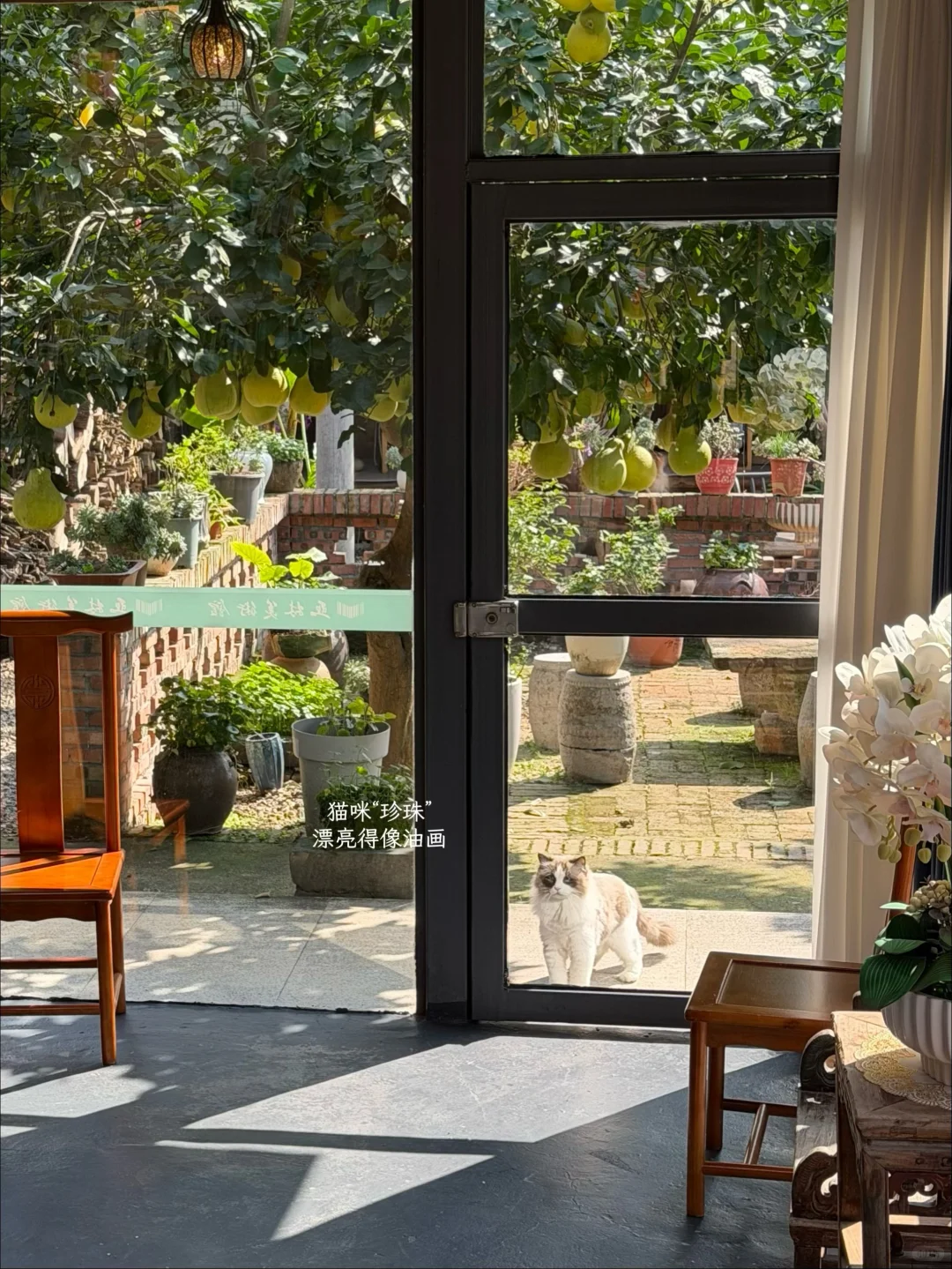 来森林里吸氧🫧藏在常德河洑山的宝藏美术馆