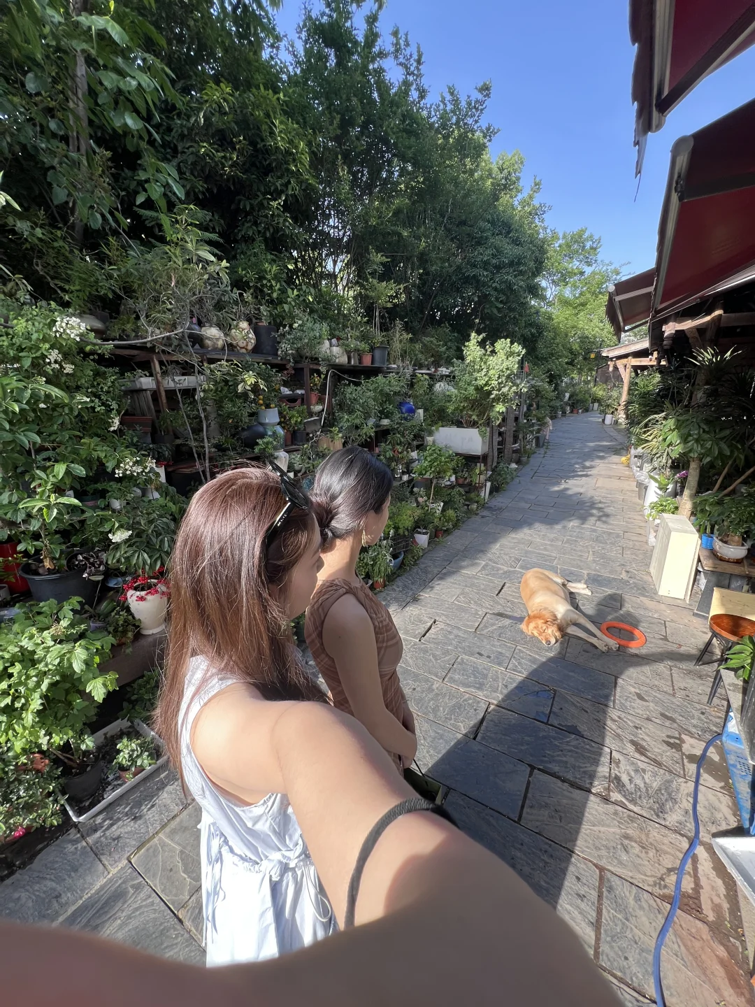 常德 一座让人幸福的城市