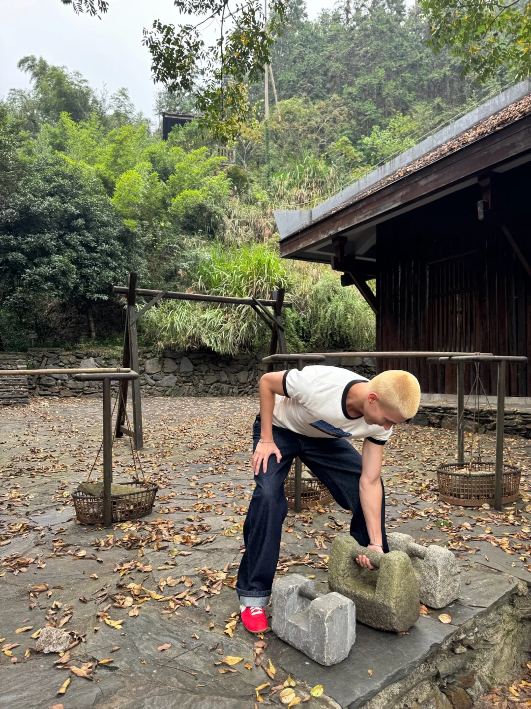 中国人真的都会背《桃花源记》吗？