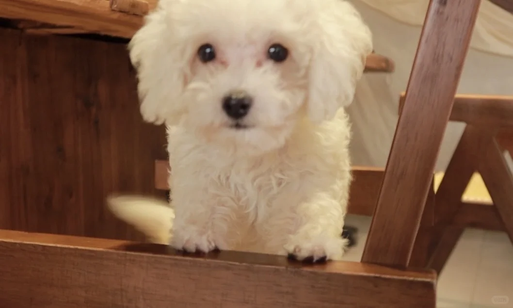 常德｜不用去景德镇就能自己做陶瓷啦