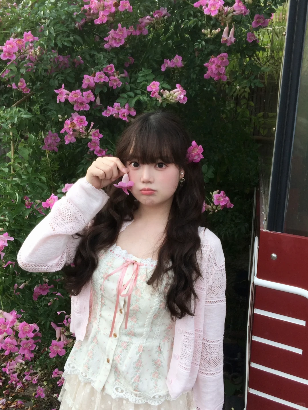 在常德 秋天也拍到粉粉的花墙啦 🌸