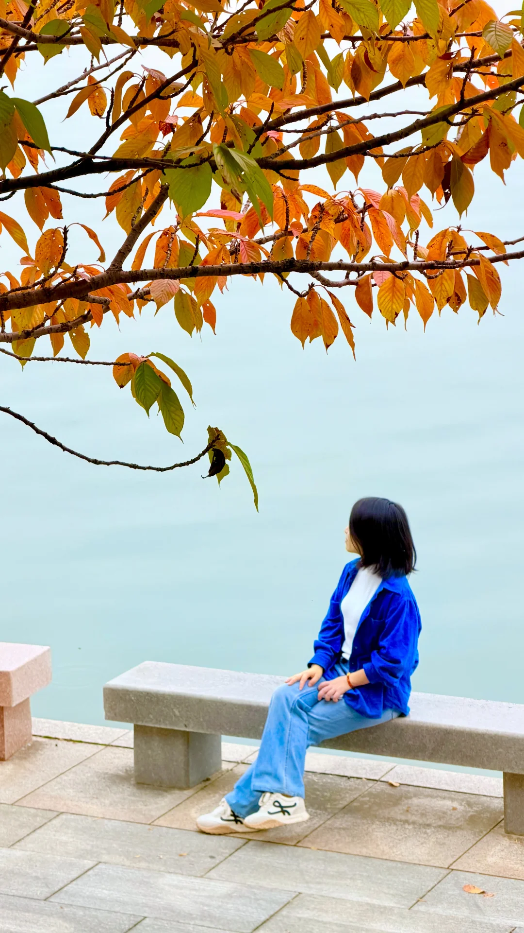 这就是常德的秋天吗？！也太好看了！！