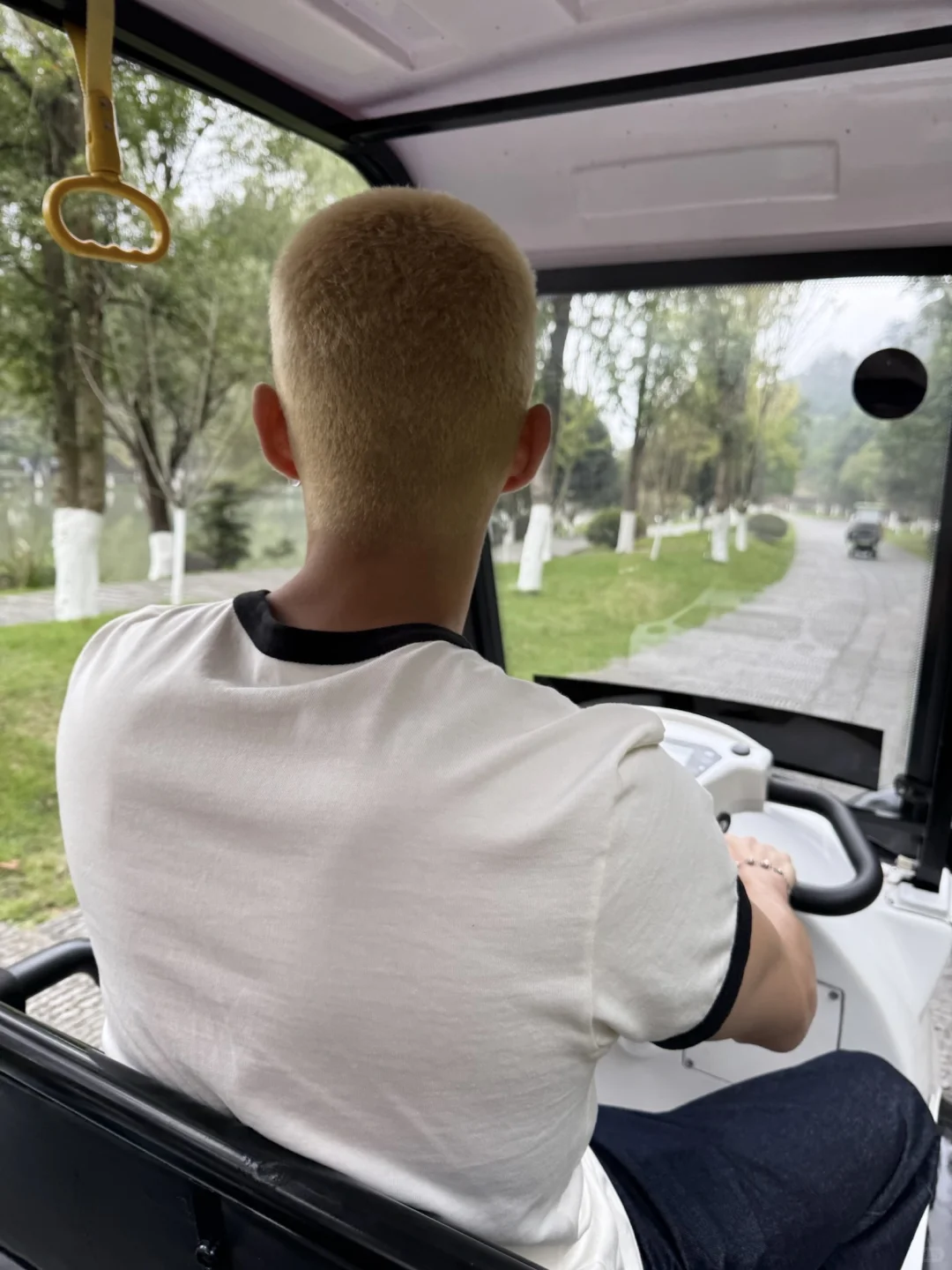 中国人真的都会背《桃花源记》吗？