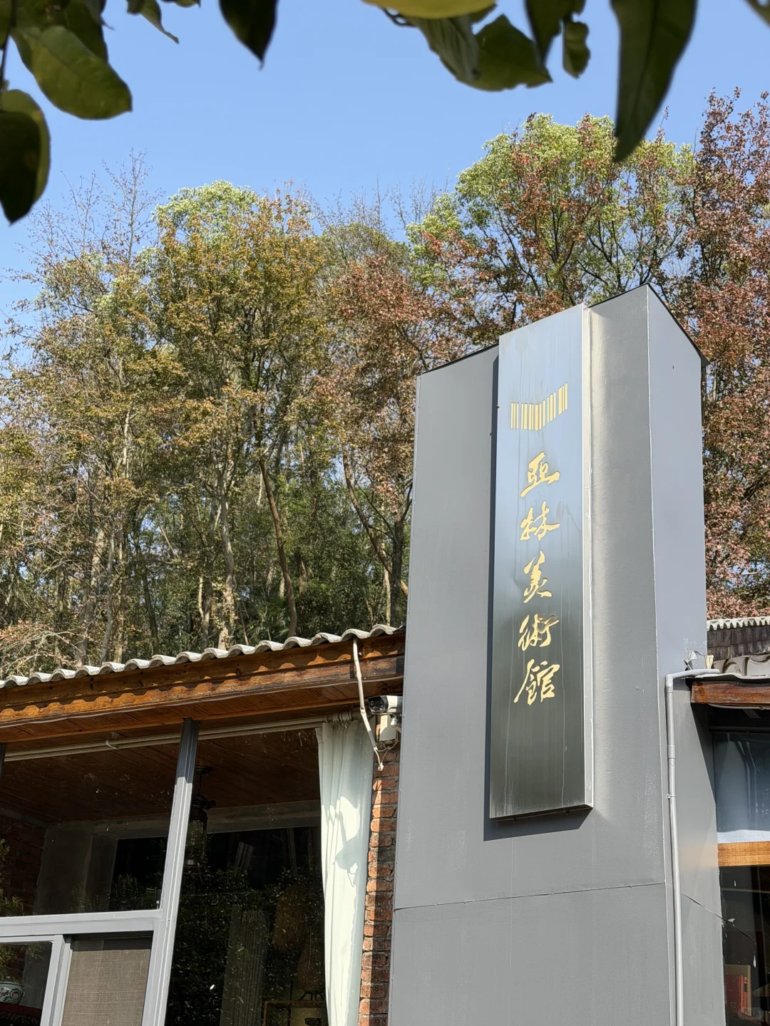 来森林里吸氧🫧藏在常德河洑山的宝藏美术馆