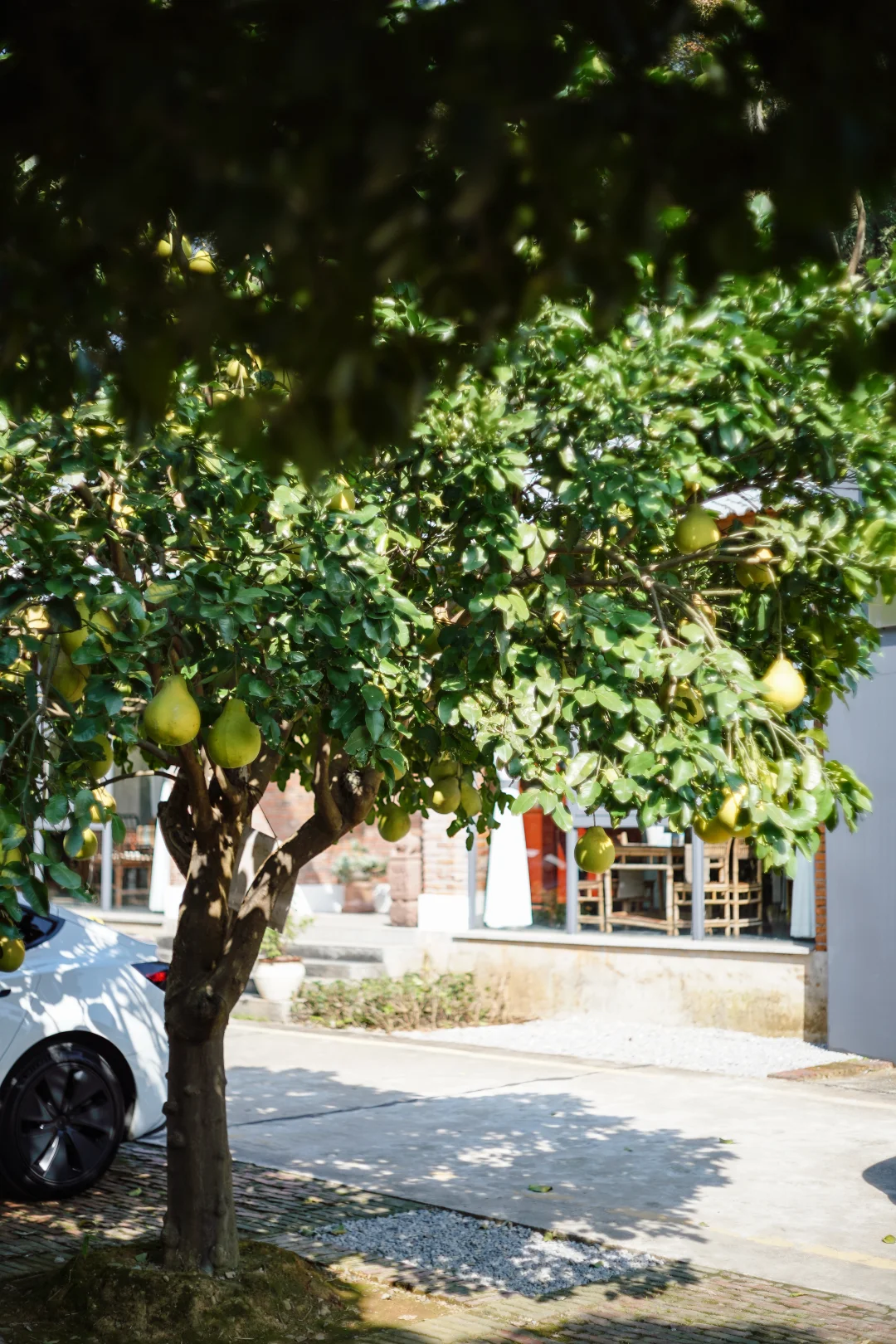 常德｜周末逃离计划｜躲进美术馆里森呼吸🎐