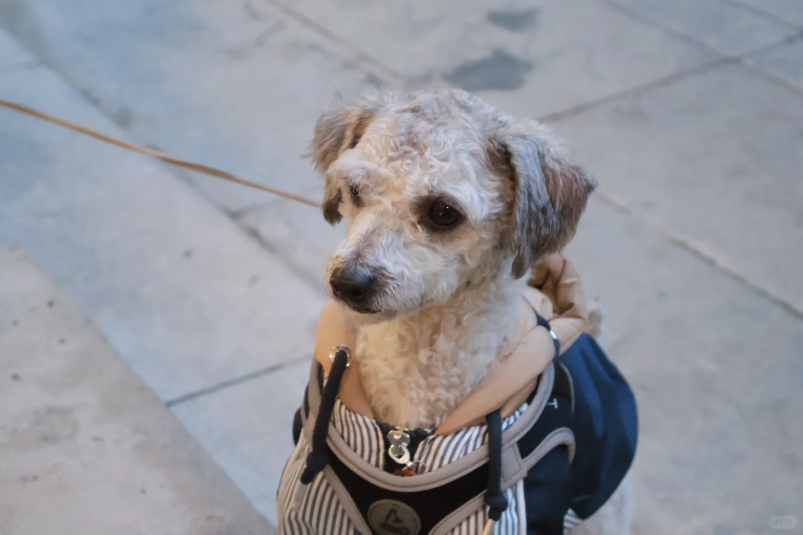 常德老西门的宝藏咖啡店！