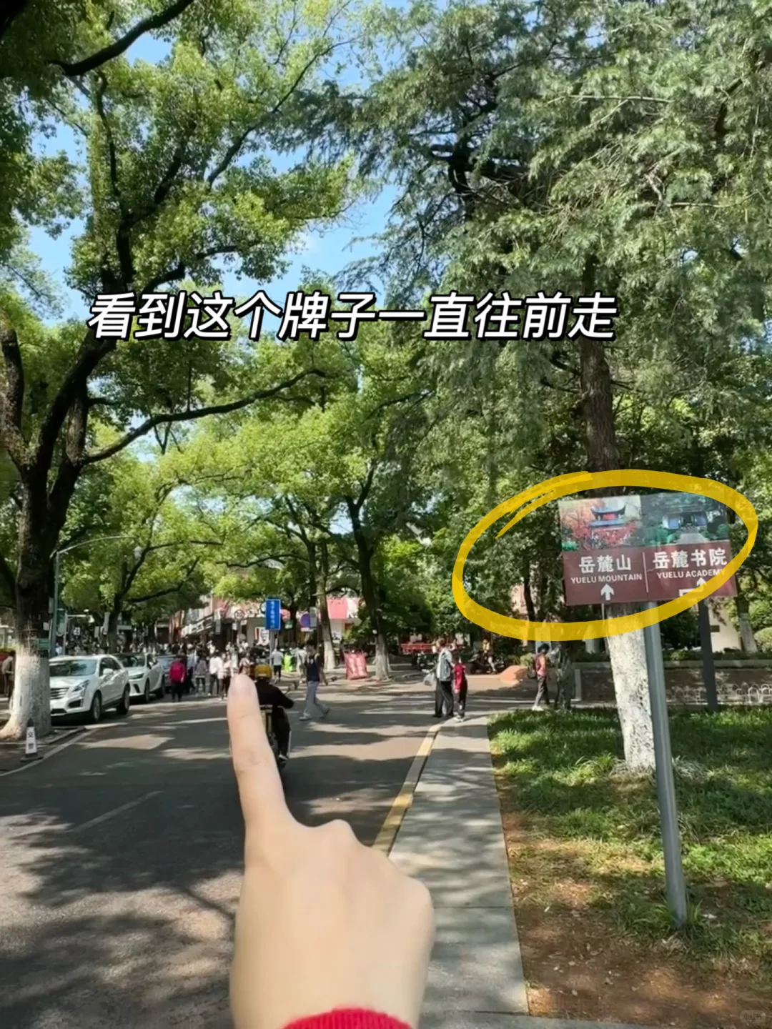 长沙岳麓书院和爱晚亭不爬山攻略！！ （附路线