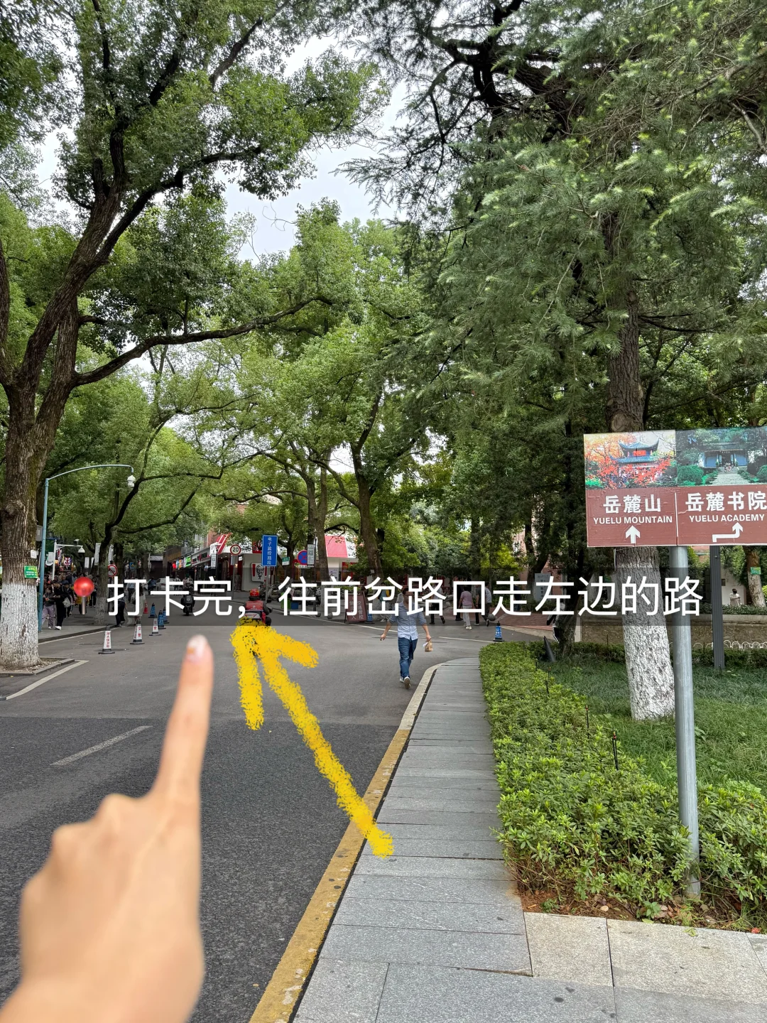 📍岳麓山免爬山攻略！附详细打卡路线（懒人版