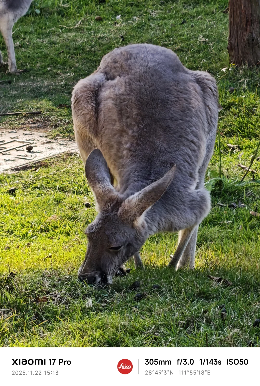 常德野生动物园略显小气了