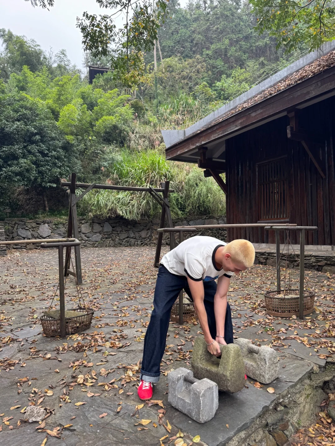 中国人真的都会背《桃花源记》吗？