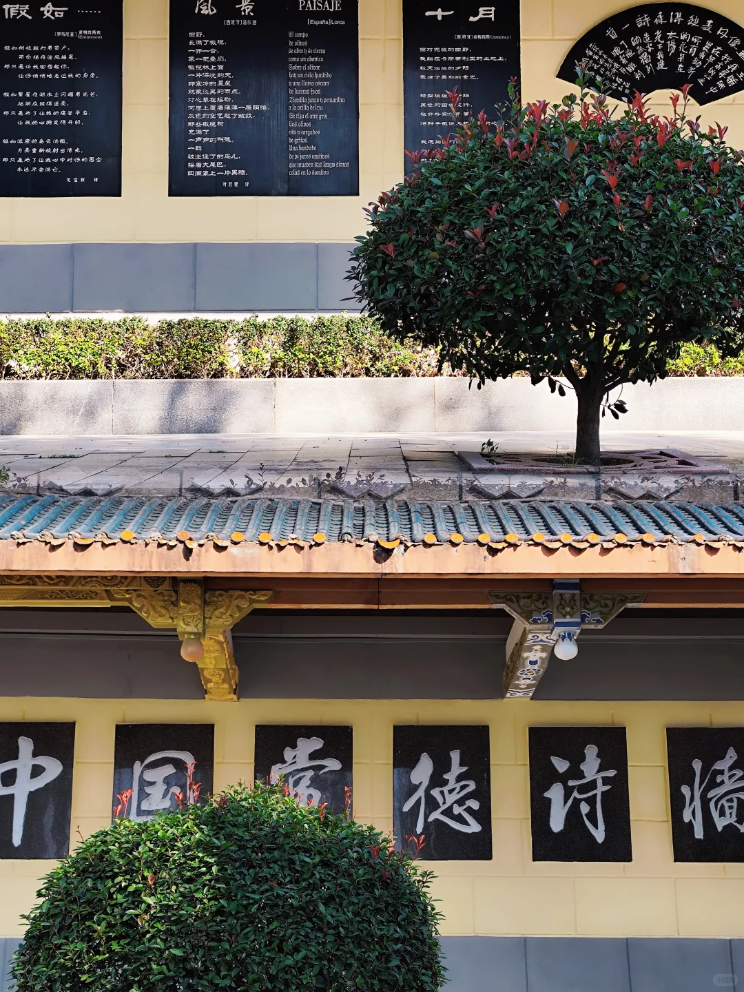 常德｜独自旅行第133站