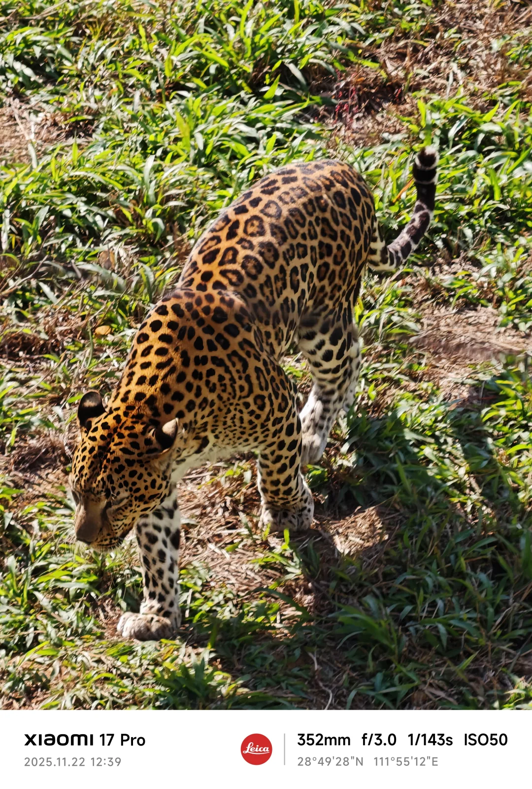 常德野生动物园略显小气了