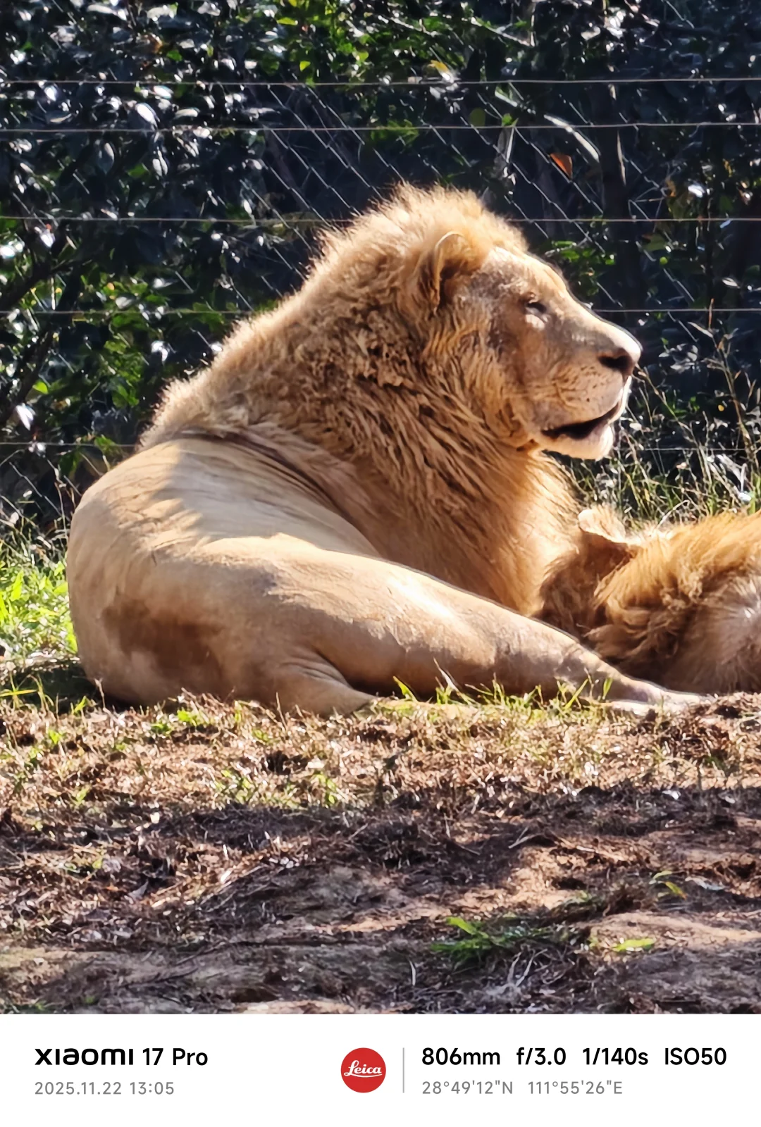 常德野生动物园略显小气了