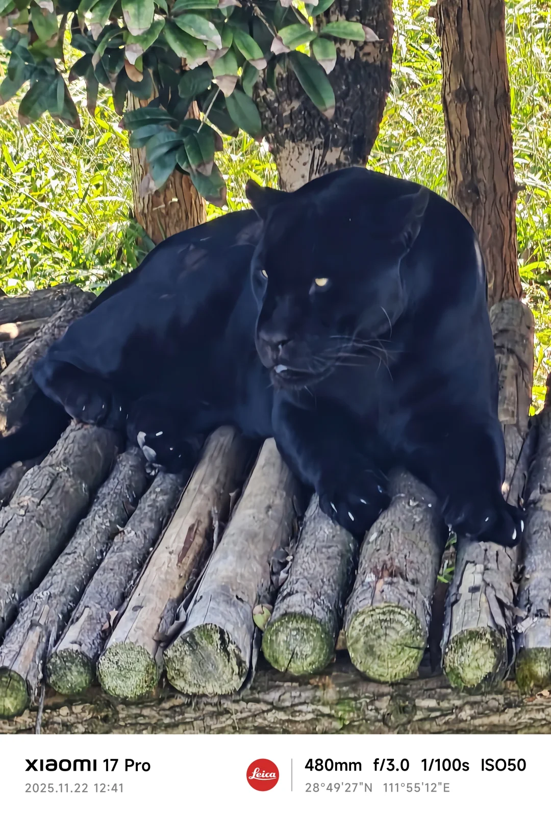 常德野生动物园略显小气了